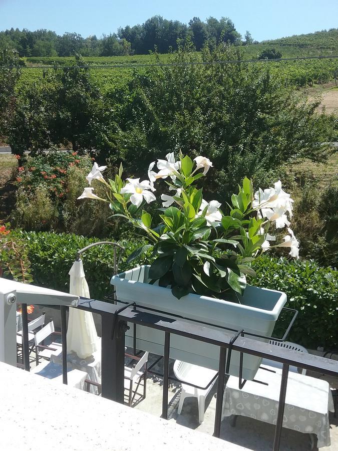 Bed and Breakfast La Terrazza Del Barbaresco à Neviglie Extérieur photo